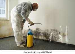 Best Mold Damage Restoration in USA